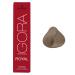 Schwarzkopf Professional Igora Royal Permanent Hair Color  8-1  Light Blonde Cendre  60 Gram 8-1  Light Blonde Cendre 2.1 Ounce (Pack of 1)