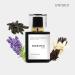 RADIANCE | Inspired by (MFK) GRAND SOIR | Pheromone Perfume for Men and Women | Extrait De Parfum | Long Lasting Dupe Clone Essential Oils Fragrance | Perfume De Hombre Mujer | (50 ml / 1.7 Fl Oz) 1.7 Fl Oz (Pack of 1) - Buy Online on GoSupps.com