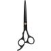 Haircut Scissors Professional Ergonomic Hair Cutting Shears Stainless Steel Sharply Barber Scissors for Home Salon - Buy Online on GoSupps.com
