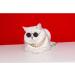 Stock Show Funny Cute Dog Cat Sunglasses - Retro Fashion Eyewear for Pet Photos - Black - Buy Online on GoSupps.com