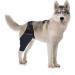 BELLIFFY Dog Injured Knee Dog Care Cat Leg Splint Leg Brace Cat Canine Carpal Hind Leg Pet XL As Shown - Buy Online on GoSupps.com