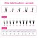 LAVISLASH 1000 Promade Fans 6 Mix Volume Lash Extensions - Individual Eyelash Extensions 3D-16D Fan - 0.03/0.05/0.07mm Thickness - Long Lasting C/D/CC Curl | 8-16mm Length - Easy Lashes Extension - Buy Online on GoSupps.com