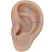 Aoutecen Silicone Ear Model for Ear Piercing Practice (Deep Skin Color) - Realistic & Reusable - Buy Online on GoSupps.com