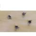 Dental Brackets 200 pcs Orthodontic Metal MIM Brackets for Braces Roth Mini 018 With Hook 3-4-5 20PCS per Pack 10 Packs - Buy Online on GoSupps.com