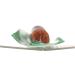 New Primal Turkey Jerky Stick 1 oz - High-Protein Snack, Gluten-Free & All-Natural - Buy Online on GoSupps.com