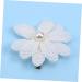 Angoily Hair Pin Hair Barrettes Hair Clip Kids Hairpin Hairpins Kids Barrette Bobby Pin Bride White Pearl Issue Card - Buy Online on GoSupps.com