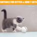 Smart Cat Ball Toy Interactive Cat Toys for Indoor Cats Adult Automatic 360 Rotating Kitten Toys with LED Light Stimulate Hunting Instinct - USB Rechargeable White - Buy Online on GoSupps.com
