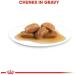 Royal Maxi Pocket Box Adult Canine 10x140gr 1400 g - Buy Online on GoSupps.com