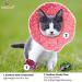 SunGrow 16 Pack Mylar Cat Crinkle Balls for Cats, Puppies, Hens, and Roosters - Buy Online on GoSupps.com