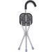 Walking Stick with Seat Cane Portable 2-in-1 Crutches Stainless Steel Lightweight Folding with 3-Legged Stool Elderly Travel Walking Black Walking Sticks for Elderly Gift - Buy Online on GoSupps.com