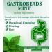 GASTROBEADS Mint Digestive Support Supplement 30 Vegecaps Mint Oil for Bloating and Gas Relief - Buy Online on GoSupps.com