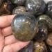 Natural Black Moonstone Palm Stone Raw Gemstone Crystal Full of Texture - Buy Online on GoSupps.com
