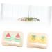 Buy Solustrie 2-Part Mini Contact Lens Container Set | Storage for Colored Contact Lenses - Travel-Friendly & Compact - Buy Online on GoSupps.com