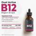 SafeFine Vitamin B12 Liquid Drops 3000mcg - 60ml - Vegan-Friendly Supplement for Energy, Mood & Nerve Function - Fast Absorption - Gluten-Free - Buy Online on GoSupps.com