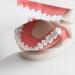 Mirror Stainless Steel Photography Mirrors  Intra-Oral Orthodontic Implant Reflector - Buy Online on GoSupps.com