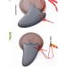Triangle Wave Scraper | Bian Stone Gua Sha Massage Tool for Anti-Aging | Shoulder & Neck Therapy | Achieve Silky Smooth Skin - Buy Online on GoSupps.com
