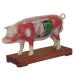 Acupuncture Pig Model Veterinary Acupuncture Animal Anatomy Model Medical Training Aid