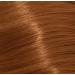 WUNDERBAR - PERMANENT HAIR COLOUR CREAM - FULL RANGE 60ML (8/34) - Buy Online on GoSupps.com