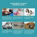 Breathable Dog Shoes - 4 Pack Reflective Boots for Paw Protection - Microfiber Leather Size C (5#) 5.3-5.7 cm Width - Buy Online on GoSupps.com