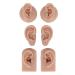 Handcrafted Silicone Human Ear Model - 3 Pairs for Acupuncture Training (Medium Skin Color) - Buy Online on GoSupps.com
