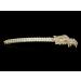 Fantasy Dragon Skull Back Scratcher - Hand-Painted Gothic Decoration for Unique Home Accents - Buy Online on GoSupps.com