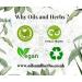 High Strength Manjistha Extract Powder 10:1 (Rubia cordifolia) -No Fillers and Binders (100 gm) - Natural and Pure - by Oils and Herbs UK - Buy Online on GoSupps.com