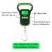 Portable Fishing Scale 110lb/50kg Rubberized Digital with Travel Pouch and Ruler - Large Backlight LCD Display - Black/Green - Buy Online on GoSupps.com