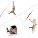 H02NLE Cat Teaser Wand with 5 Refills - Interactive Feather Toys for Indoor Cats - Buy Online on GoSupps.com