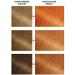 Garnier Olia Permanent Hair Dye Up to 100% Grey Hair Coverage No Ammonia 60% Oils Bold 7.40 Intense Copper Intense Copper 1 count (Pack of 1) - Buy Online on GoSupps.com