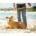 NERVOUS (Give Me Space) Yellow Colour Coded Non-Pull Dog Harness and 60cm 1.2m 1.8m Luxury Neoprene Padded Handle Lead Sets PREVENTS Accidents By Warning Others Of Your Dog In Advance (Harness & 1.8m) Harness & Long 1.8m/72inch Lead - Buy Online on GoSupps.com