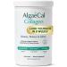 ALGAECAL Collagen: 4 Clinically-Supported Peptides VERISOL FORTIGEL UC-II FORTIBONE Anti-Aging Hydrolyzed Collagen Powder 30 Servings Made in USA 30 Servings (Pack of 1)