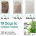 WisePatch Foot Pads 100 PCS - Natural Detox Foot Patches for Body Cleansing - Buy Online on GoSupps.com