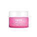 Agarta Daily Moisturizing Day Cream Botanical Face Cream with Hyaluronic Acid & Vitamin E Vegan Clean Formula 1.69 fl oz