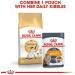 Royal Canin Siamese Adult Dry Cat Food 3 x 400g - Buy Online on GoSupps.com
