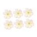 ABOOFAN 50pcs Ornaments White Plum Pink Simulation Supplies Handmade Crafts Flower Adornments DIY Blossoms As Shown Size 1