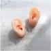 Silicone Ear Model for Acupuncture - Artificial Ear Model with Stand - Soft Silicone Ear Model for Teaching for Ear Picking Practice Studs Earring Display Props