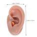 Angoily Human Ear Acupuncture Model - 1pc Silicone Display Ear Simulator for Massage & Learning | 6.5x3.5cm - Buy Online on GoSupps.com