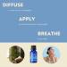 L.L.P. Breathe Essential Oil Blend 15ml | 100% Pure Therapeutic Lavender Lemon Peppermint - Spark Naturals for Sinus Allergy & Cold Relief - Buy Online on GoSupps.com