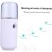Baluue 2pcs Atomizer Mini Diffuser Humidifier Mist Diffuser Mist Spray Aromatherapy Diffuser Air Humidifier - Buy Online on GoSupps.com
