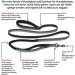 Halti Active Dog Leash with Neoprene Padding & Shock Absorption - 3m Reflector Freehand Design for Small to Medium Dogs - Ideal Running Leash (Size Small Black) - Buy Online on GoSupps.com