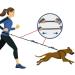 Hands Free Dog Leash Retractable Dog Leash Running with Dual Bungees for Medium and Large Dogs Adjustable Waist Belt Reflective Stitching Leash for Running Walking Hiking Jogging Biking (Orange) - Buy Online on GoSupps.com