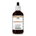 Marshmallow (Althaea Officinalis) Dry Root Glycerite Made in Hawaii Organic Raw Materials All Natural Vegan Lab Tested Alcohol-Free Liquid Extract - 4 fl.oz 4 Fl Oz (Pack of 1)