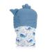 Itzy Ritzy Whale Silicone Teether - Food Grade, 3+ Months | Itzy Mitt - Buy Online on GoSupps.com