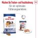 Royal Canin Maxi Adult | 12 x 410 g | Complete Food for Large Adult Dogs (26-44 kg) | Wet Food Rich in nutrients and balanced with highly digestible proteins - Buy Online on GoSupps.com