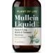 Mullein Extract Liqid by Plant of Life | Respiratory Support Lungs Clear Airways Breathe | Vegan | 2oz/ 60mL'