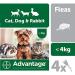 Advantage Spot On Flea Treatment 40 Small Cats Dogs and Rabbits 4 pipettes Small Cats Dogs and Rabbits (&lt 4kg) - Buy Online on GoSupps.com