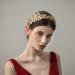 Golden Laurel Leaf Crown Tiara | Greek Roman Costume Accessory | Women's Headband Hair Comb | Bridal Wedding Headpiece - Buy Online on GoSupps.com