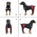 Dog Knee Brace Dog Double Rear Leg Brace with Metal Hinged Flexible Support and Reflective Seat Belts Dog Acl Brace Hind Leg|Red (S) - Buy Online on GoSupps.com