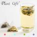 100% Pure Natural Herbal Tea Jasmine Green Tea Bag 150g/5.29oz (3g*50bags) jasmin faible teneur en caf ine ar me floral sans additifs sans OGM - Buy Online on GoSupps.com