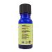 Buy Ravensara Essential Oil 10ml - Pure & Natural | International Shipping Available - Buy Online on GoSupps.com